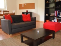 Lovely Apartment Right in the City Center 