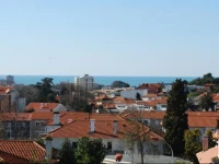Porto Serralves Apartment 