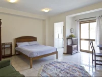 Spacious Studio with Terrace 