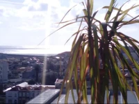 PanoramicPlace Premar 