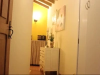 Vizinha da Viuva 