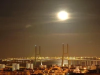 Apartamento TerraГ§os da Ponte 