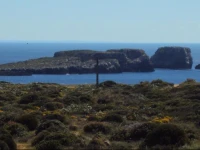 Casa Grilo 
