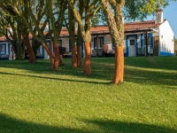 Monte Da Galrixa 