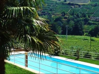 Solar Quinta da Portela Agro-Turismo 