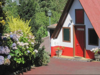 Typical House - Lua de Mel