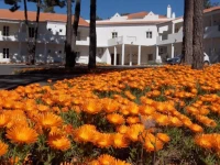 Hotel Rural Monte da Leziria 