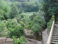 Quinta Do Castanheiro 