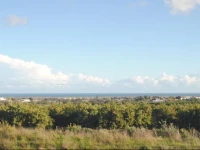 Quinta Arruba Guest House 