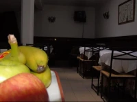 Hotel Cavaleiros De Cristo 
