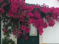 Casinha do Arco 