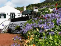 Casas do Capelo 