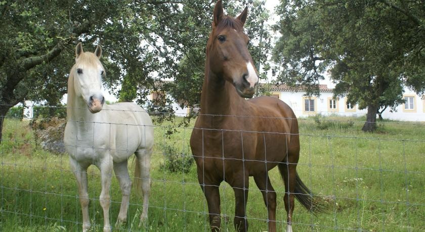 Herdade da Chamine 