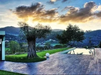 Quinta Da Mouta 