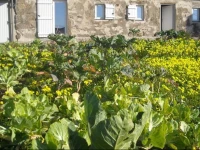Casa da Praia em Valadares 