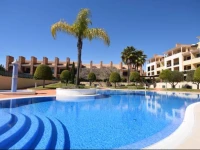 Olivos Del Golfe 