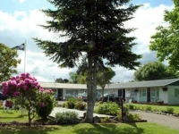 Waiteti Lakefront Motel 