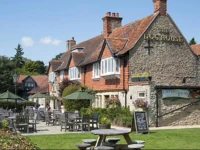 Dog House Hotel 
