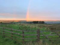 High Keenley Fell Farm 