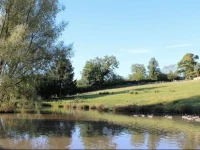Lakeside 