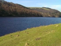 Derwent View 