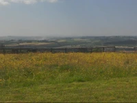 Bunny Meadows 