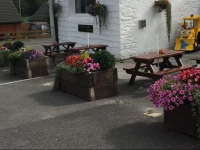 The Fox and Hounds 