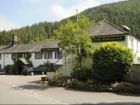 The Pheasant 