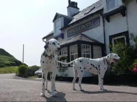 Argyll Hotel 