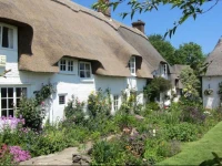 Honeycombe Cottage 