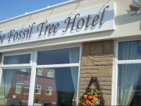 The Fossil Tree Hotel 4*