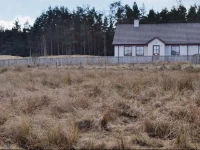 Croftronan Cottage 