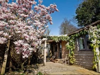 Home Orchard Cabin 