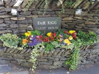Fair Rigg 
