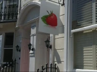 Strawberry Fields 
