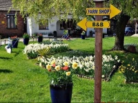 Model Farm B&B 