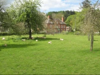 The Red Lion Hotel 