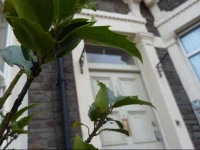 Riverview Guest House 