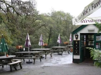 The Abbey Inn 