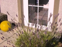 Causeway Smithy B&B 