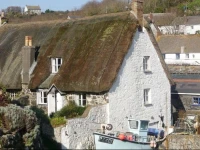 Old Dolphin Cottage 