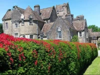 Butlers Quarters Apartment 