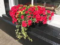 The Three Tuns 
