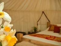 Plush Tents Glamping 