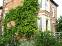 Laurel House Bed and Breakfast 