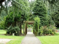 The Pines Hotel 