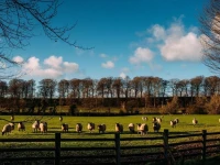 Mitton Hall Hotel 