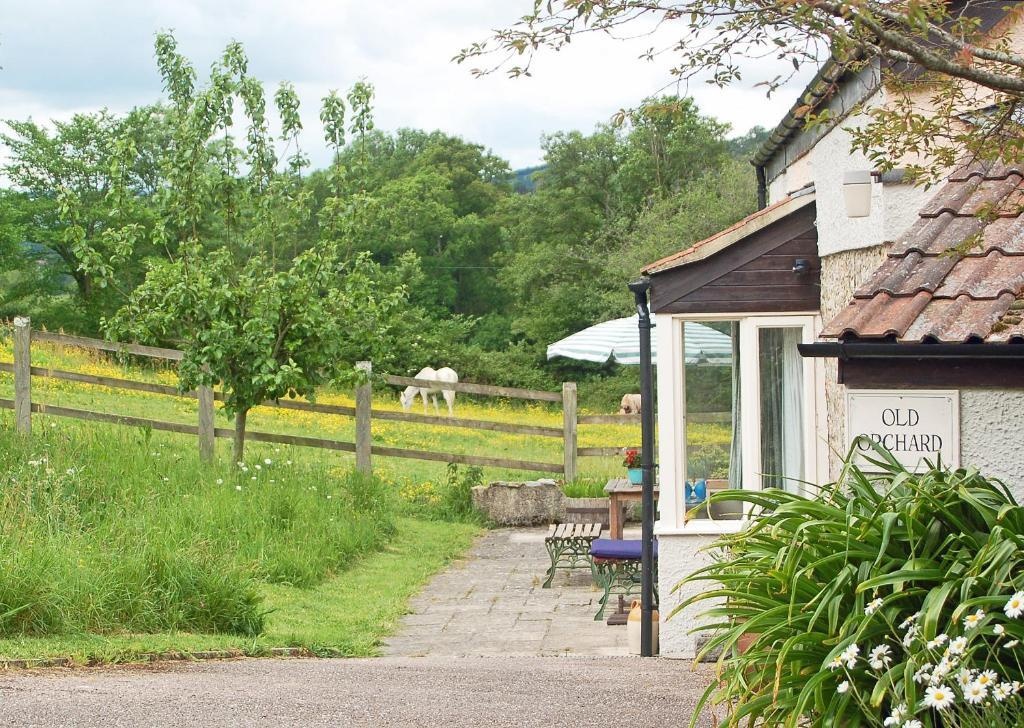 Old Orchard Cottage 