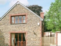 Copperbeech 