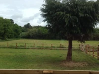 Forest Edge Bed & Breakfast 